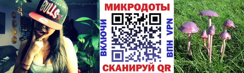 Галлюциногенные грибы Psilocybe  Ялуторовск 